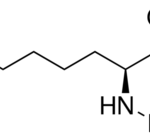 Structure of Boc-Lys-OH CAS 13734-28-6