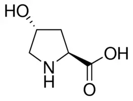 Structure of H-Hyp-OH CAS 51-35-4