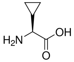 Structure of L-Cyclopropylglycine <span class="caps">CAS</span> 49606-99-7 Structure of L-Cyclopropylglycine CAS 49606-99-7