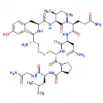 Structure-of-OxytocinAcetate-CAS-50-56-6