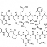 Structure of Tetracosactide Acetate CAS 16960-16-0