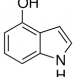 Structure of 4-Hydroxyindole CAS 2380-94-1