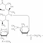 Structure of Erythromycin ethylsuccinate CAS 1264-62-6