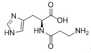 Structure of L-Carnosine <span class="caps">CAS</span> 305-84-0 Structure of L-Carnosine CAS 305-84-0