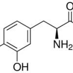 Structure of Levodopa CAS 59-92-7