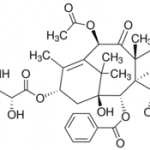 Structure of Paclitaxel CAS 33069-62-4