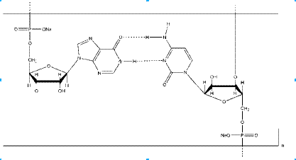 Structure of Polyinosinic polycytidylic acid sodium salt CAS 42424 50 0 - HOME