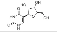 Structure of Pseudouridine CAS 1445 07 4 - HOME
