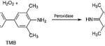 Structure of Tetramethylbenzidine CAS 54827-17-7