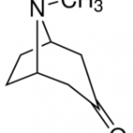 Structure of Tropinone CAS 532-24-1