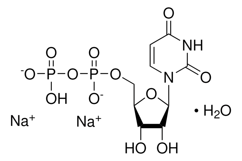 Structure of UDP-Na2 Uridine 5'-diphosphate disodium salt CAS 27821-45-0