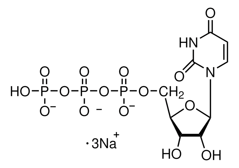 Structure of UTP-Na3 Uridine 5'-triphosphate trisodium salt CAS 19817-92-6