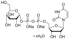 Structure of Uridine 5 diphosphoglucose disodium salt CAS 28053 08 9 - Uridine 5'-diphosphoglucose disodium salt CAS 28053-08-9