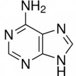 structure of Adenine CAS 73-24-5