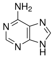 Adenine CAS 73-24-5