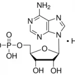 structure of Adenosine 5'-monophosphate CAS 61-19-8