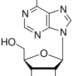 structure of Adenosine CAS 58-61-7