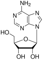 structure of Adenosine CAS 58-61-7 Adenosine CAS 58-61-7