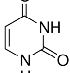 structure of Uracil CAS 66-22-8