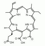 Structure of Chlorin E6 CAS 19660 77 6 - Chlorin E6 CAS 19660-77-6