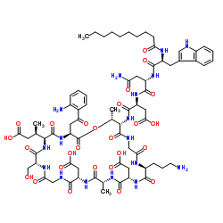 Structure of Daptomycin CAS 103060 53 3 - Lomefloxacin hydrochloride CAS 98079-52-8