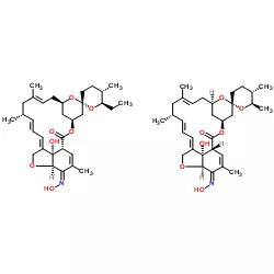 Structure of Milbemycin oxime CAS 129496 10 2 - Nicergoline CAS 27848-84-6