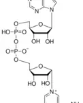 Structure of NAD-Na CAS 20111-18-6