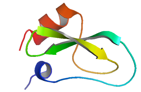 Structure of Recombinant Soybean Trypsin Inhibitor <span class="caps">CAS</span> 9035-81-8 Structure of Recombinant Soybean Trypsin Inhibitor CAS 9035-81-8