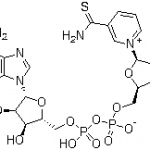Structure of Thio-NAD CAS 4090-29-3