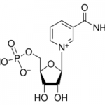 Structure of beta-NMN CAS 1094-61-7