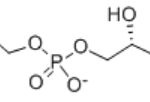 Structure of L-alpha-Glycerylphosphorylcholine CAS 28319-77-9