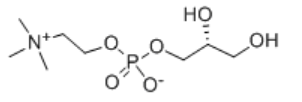 Structure of L-alpha-Glycerylphosphorylcholine CAS 28319-77-9