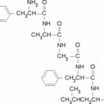 Structure of Tyrosylalanylglycylphenylalanylleucine CAS 64963-01-5
