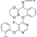 Structure of Fluoxastrobin CAS 361377-29-9 or 193740-76-0