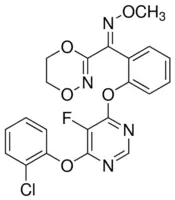 Structure of Fluoxastrobin CAS 361377 29 9 or 193740 76 0 - Fluoxastrobin CAS 361377-29-9 or 193740-76-0