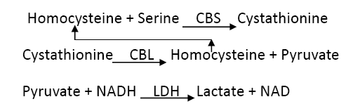 Assay Principle - Homocysteine CAS 6027-13-0