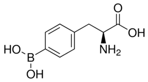 4-Borono-L-phenylalanine CAS 76410-58-7 4-Borono-L-phenylalanine CAS 76410-58-7