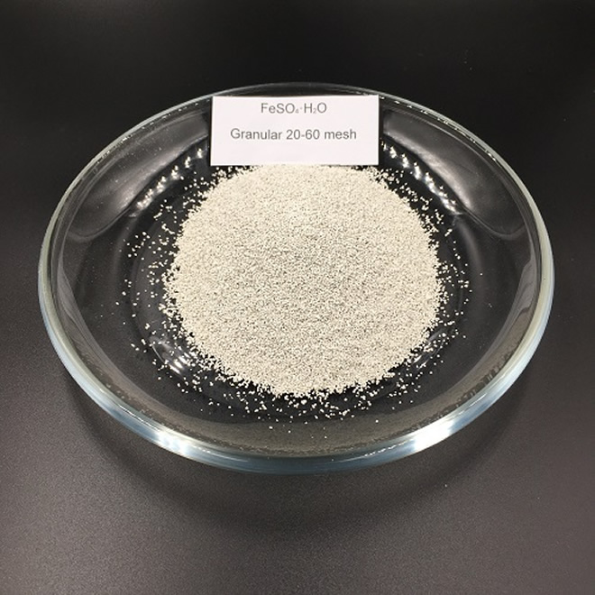 20 60 Mesh of Ferrous Sulphate Monohydrate CAS 17375 41 6 - Ferrous Sulphate Monohydrate CAS 17375-41-6