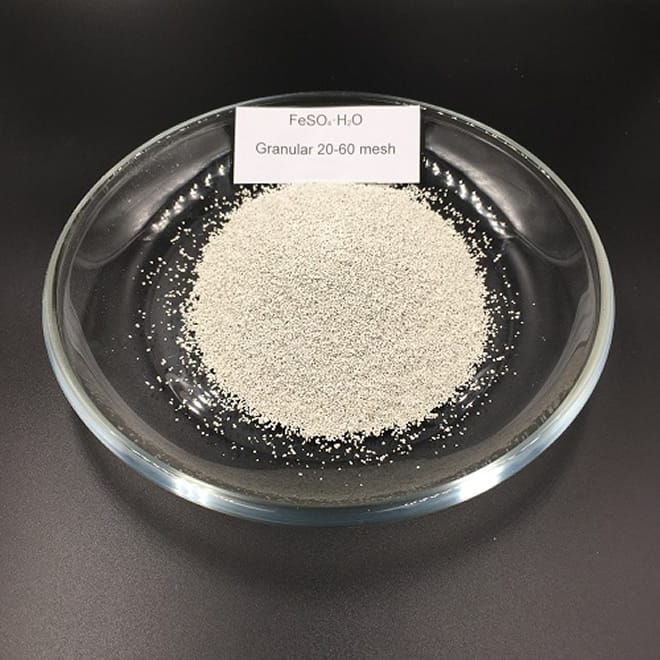 Ferrous Sulphate Monohydrate CAS 17375-41-6 20 60 Mesh of Ferrous Sulphate Monohydrate CAS 17375 41 6 - Ferrous Sulphate Monohydrate CAS 17375-41-6