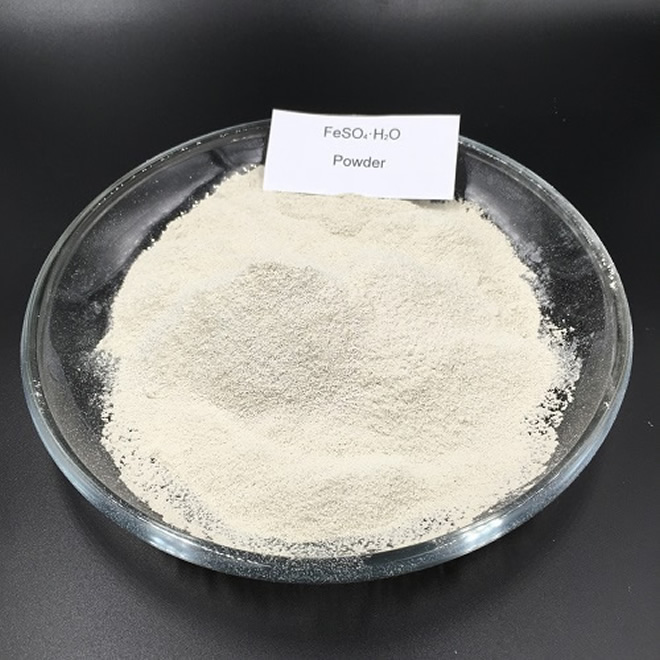 Powder of Ferrous Sulphate Monohydrate CAS 17375 41 6 1 - Ferrous Sulphate Monohydrate CAS 17375-41-6