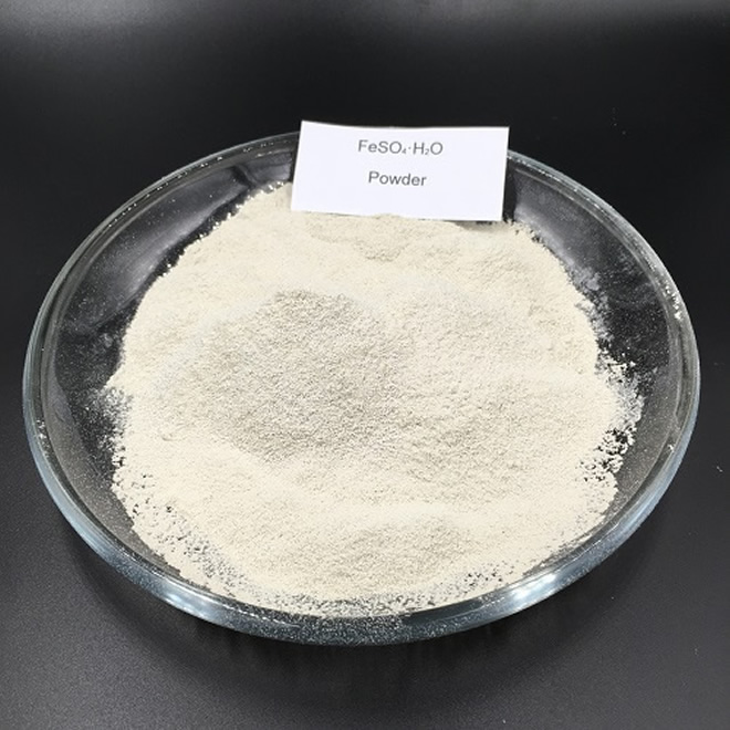 Ferrous Sulphate Monohydrate CAS 17375-41-6 Powder of Ferrous Sulphate Monohydrate CAS 17375 41 6 1 - Ferrous Sulphate Monohydrate CAS 17375-41-6
