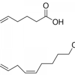 Structure of Arachidonicacid CAS 506-32-1