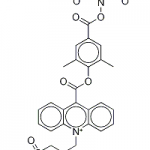 Structure of NSP-DMAE-NHS CAS 194357-64-7