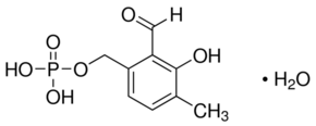 Pyridoxal 5′-phosphate CAS 41468-25-1 Pyridoxal 5′-phosphate CAS 41468-25-1