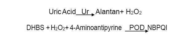 Assay Principle 5 - Uric Acid CAS 69-93-2