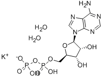 72696 48 1 - Gal-G2-CNP/2-Chloro-4-nitrophenyl 4-O-β-Dgalactopyranosylmaltoside CAS 157381-11-8