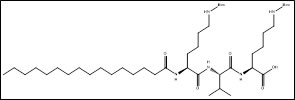 Short Peptides without CAS Pal KBocVKBoc OH - Short Peptides without CAS
