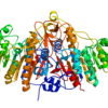 Sreucture of Alkaline phosphatase CAS 9001-78-9