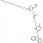Structure of Fmoc-Lys(Pal-Glu-OtBu)-OH CAS 1491158-62-3
