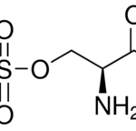 Structure of L-Serine O-sulfate potassium salt CAS 17436-02-1